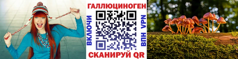 продажа наркотиков  Дудинка  Псилоцибиновые грибы GOLDEN TEACHER 